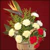 Memories of Life - Click here to View more details about this Product